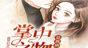 掌中之物小说免费阅读,揭秘神秘物件的奇幻之旅