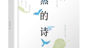 大自然的诗句,探寻大自然的语言与韵律”