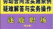 劳动合同法实施细则,全面解读劳动者权益保障与劳动关系规范